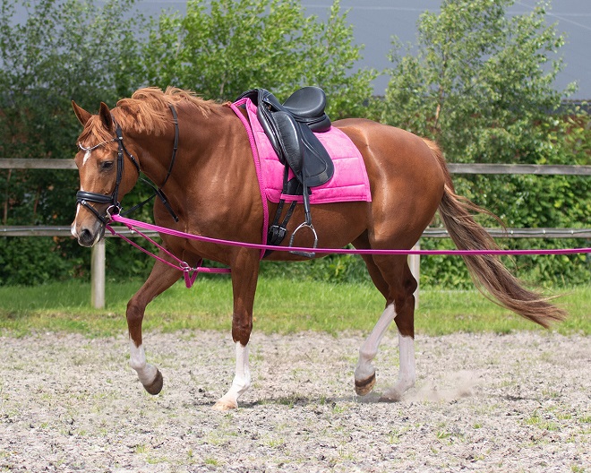 "STRETCHING AID"  IN POLIESTERE Chambon e Gogue 